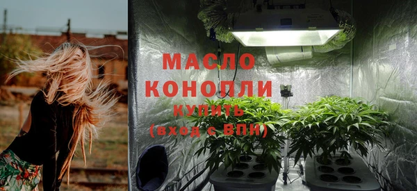 индика Ростов