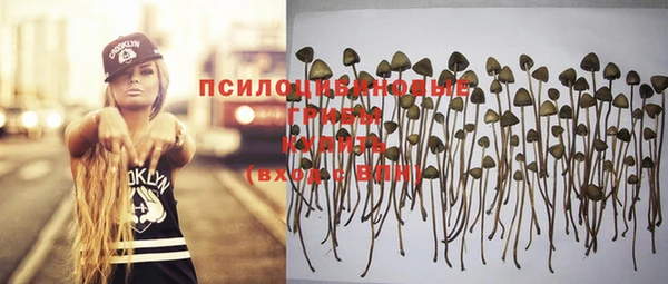 эйфоретик Магадан